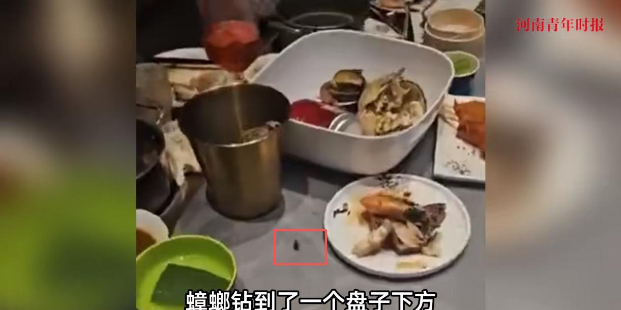 “解释不清了！”9月28日，山东济南，一家高档自助海鲜餐厅来了一行10位顾客，他