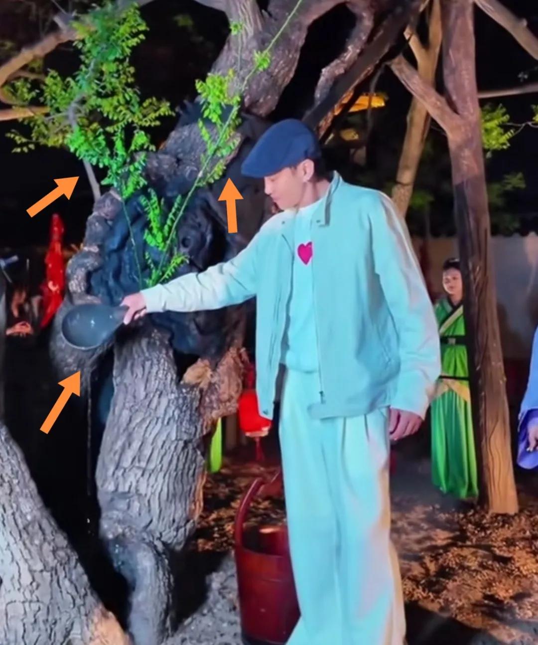 项王植槐千年后古槐逢春发芽，今“项羽”浇水新槐芽更旺。