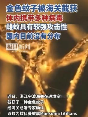 又是美国，又是病毒，这次不是实验室，是一整船“带毒蚊子”直接开到中国宁波！ 