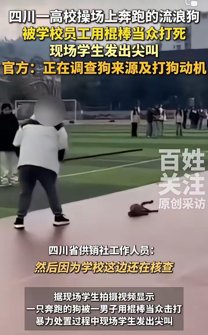 那些圣母们，就问一个问题，那流浪狗如果在校园里咬着人了，谁负责？那些圣母们会不会