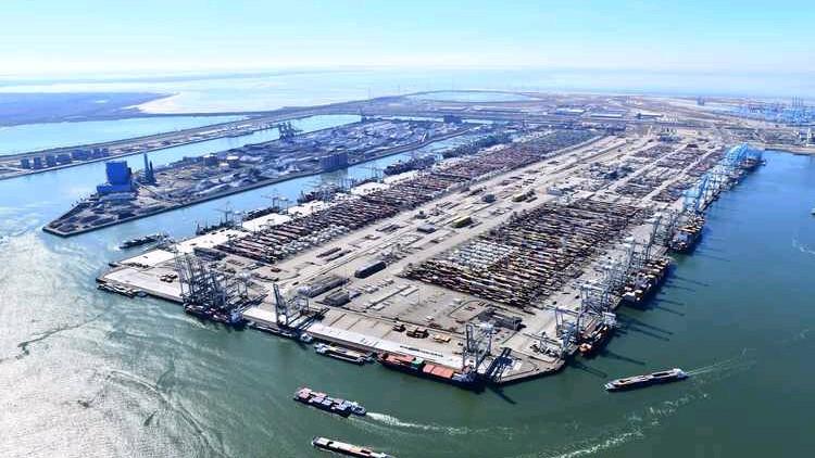 中国在短时间对巴拿马的精准反制措施使巴拿马政府感受到了巨大压力，总领事被紧急召回