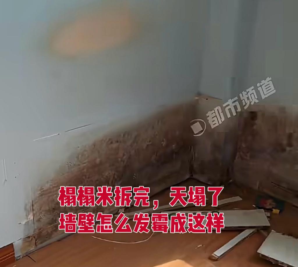天塌了！家里有榻榻米的，赶紧去查一下吧！江苏的一位女士，拆掉了家里用了十几年