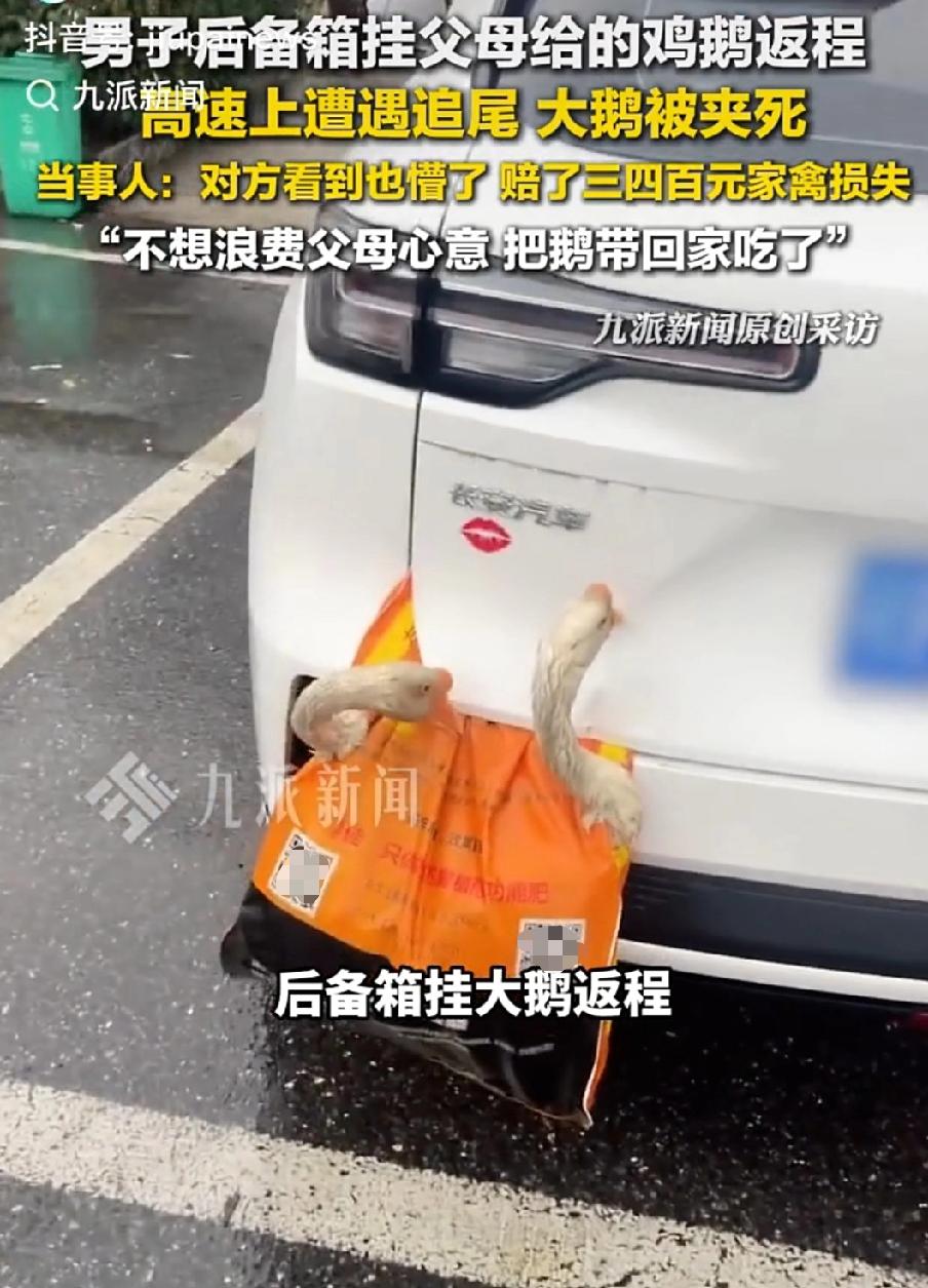 “担心的事情还是发生了！”湖北襄阳，男子从老家返程回家，出发前父母给他拿了4只鸡