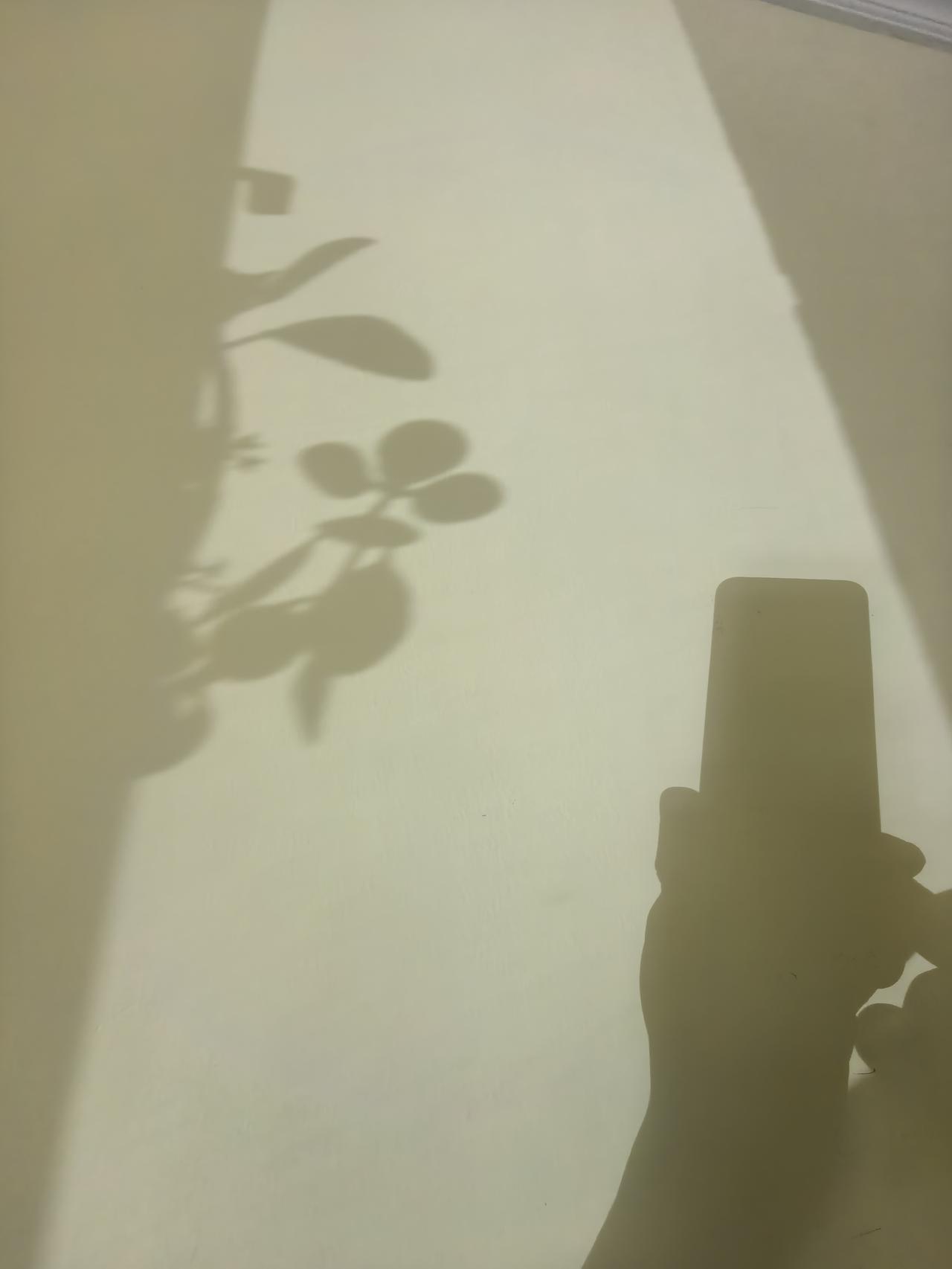 香烟有保质期吗？一包烟放两年了，还能抽吗香烟其实是有保质期的，存放两年的烟，