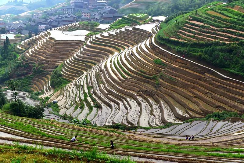 中国人为了吃饱饭太不容易了，连巴掌大的地方都种上了粮食。对比于美国、巴西的大