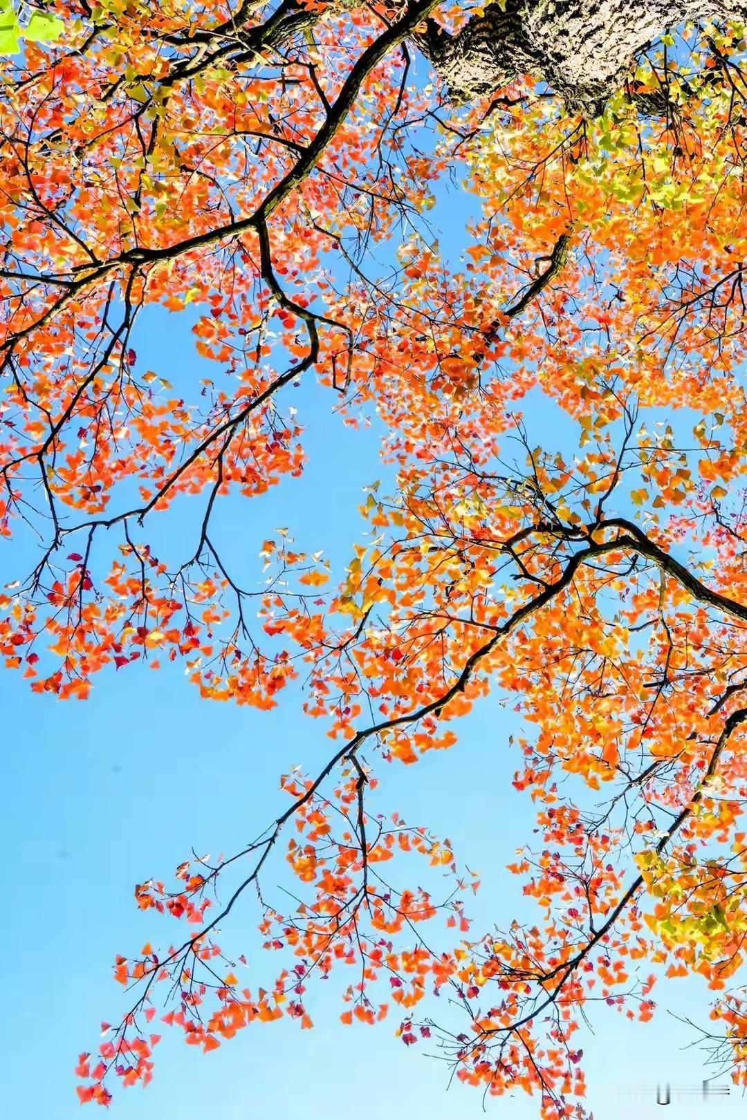 一位情感专家说：“一个身上、感情上都干干净净的女人，男人才会掏心掏肺当宝贝疼。