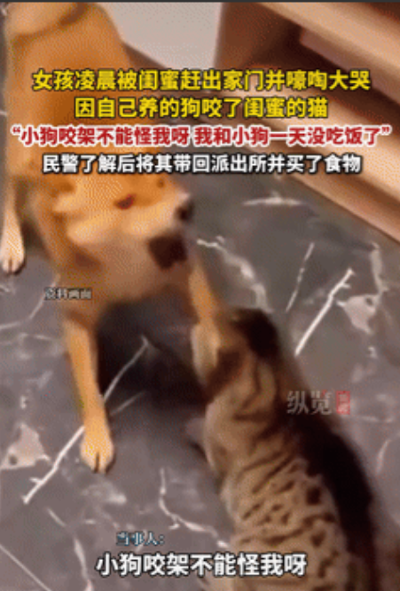 白嫖失败了？安徽，一女子住在闺蜜家里，不料她的狗吓了闺蜜的猫，闺蜜一怒将她赶出家