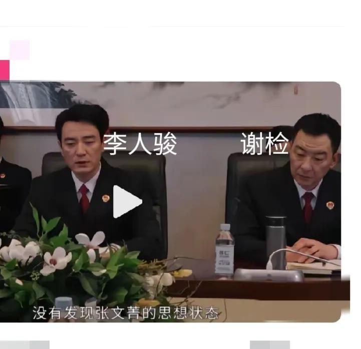 16.《以法之名》。谢检一本正经呵斥张文菁律师，说她是“讼棍”。看他正义凛然的样