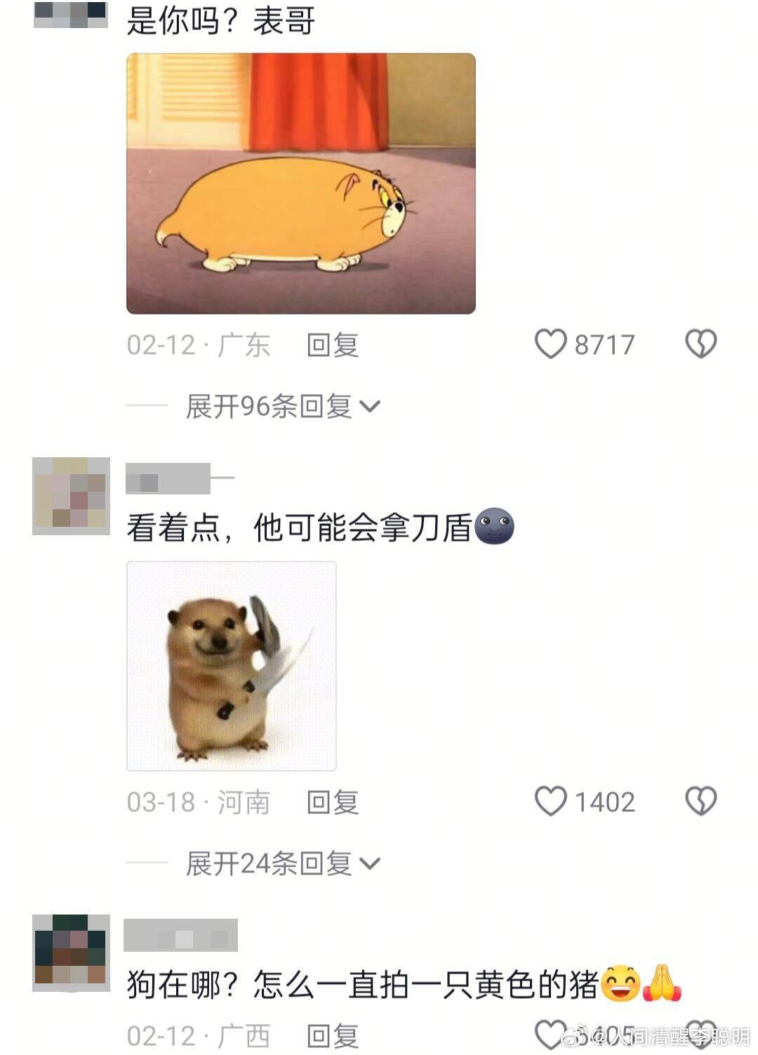 猪汪：怎么一觉醒来我成全网的笑话了