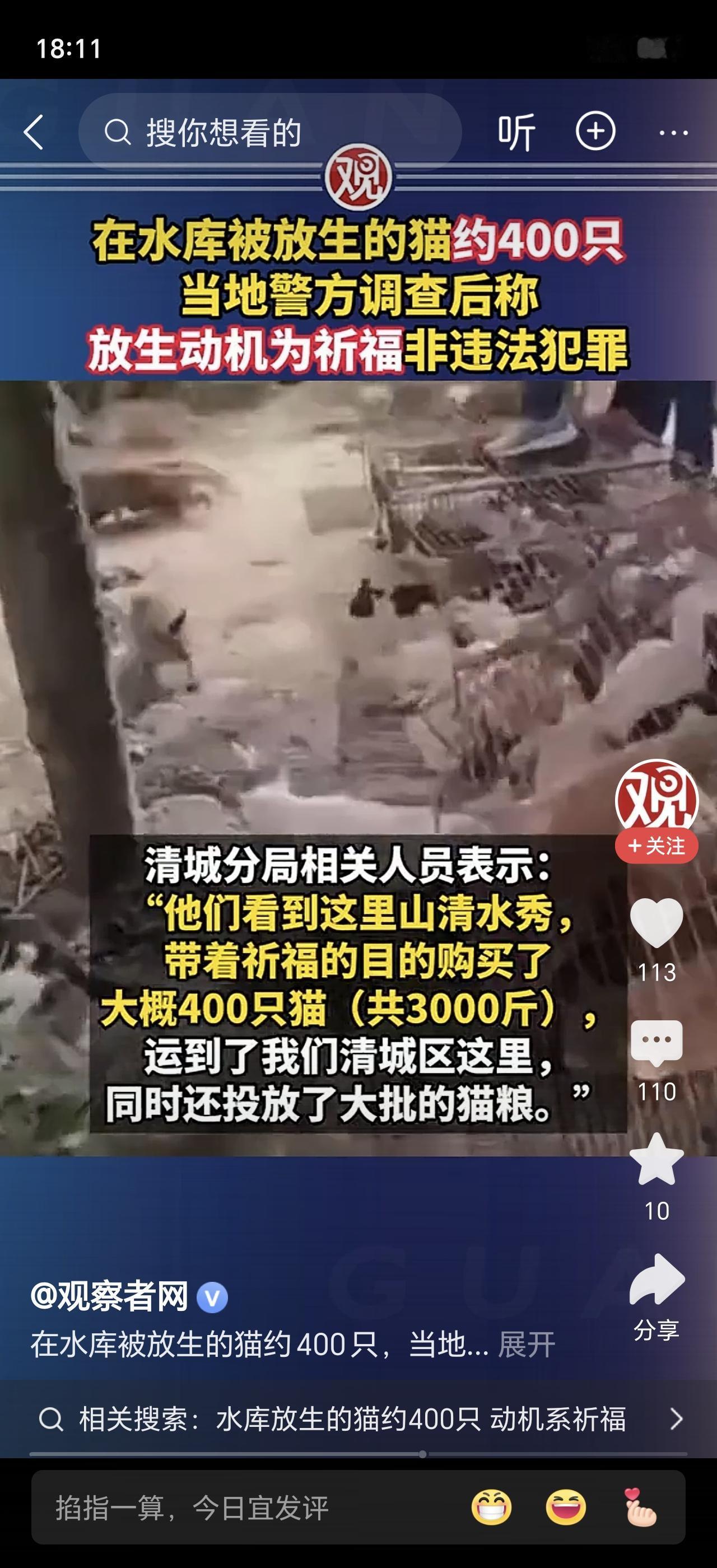 祈福居然往水库放400只猫？广东清远迎咀水库是饮用水源地，10个外地人拉来