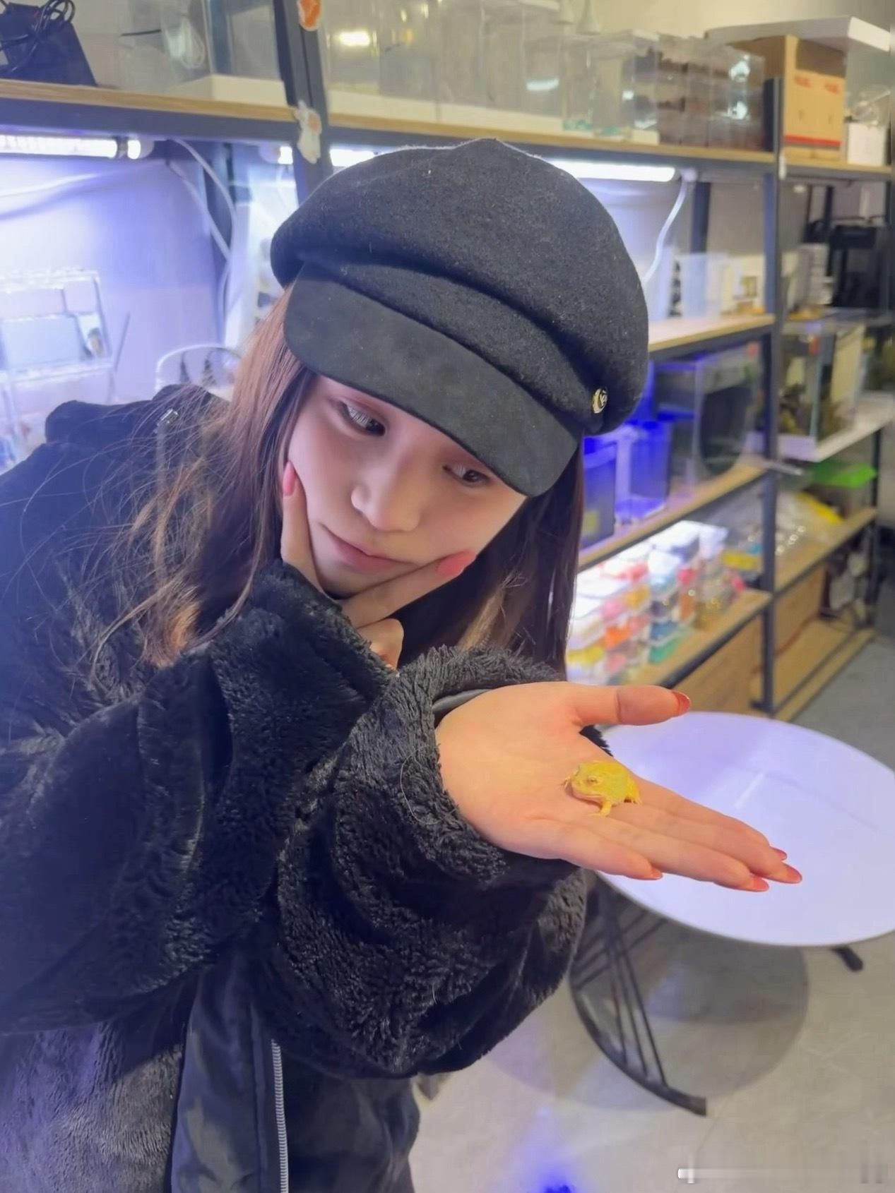 有人养过角蛙嘛我角蛙到家三四天了喂吃的不吃咋办啊