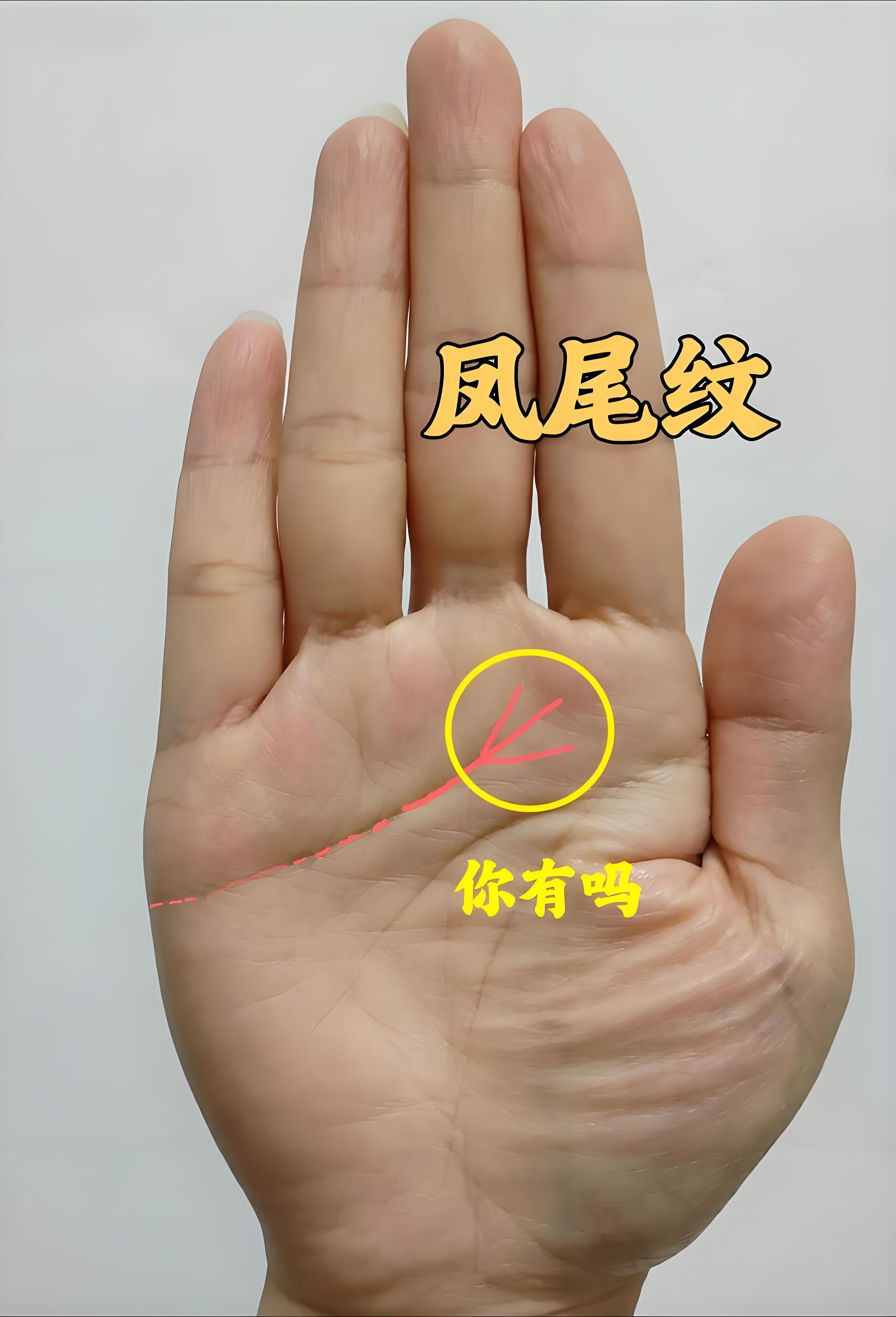趣谈手相中的凤尾纹凤尾纹像凤凰舒展的尾羽，是福运顺遂的象征。凤尾纹最常出现在感情