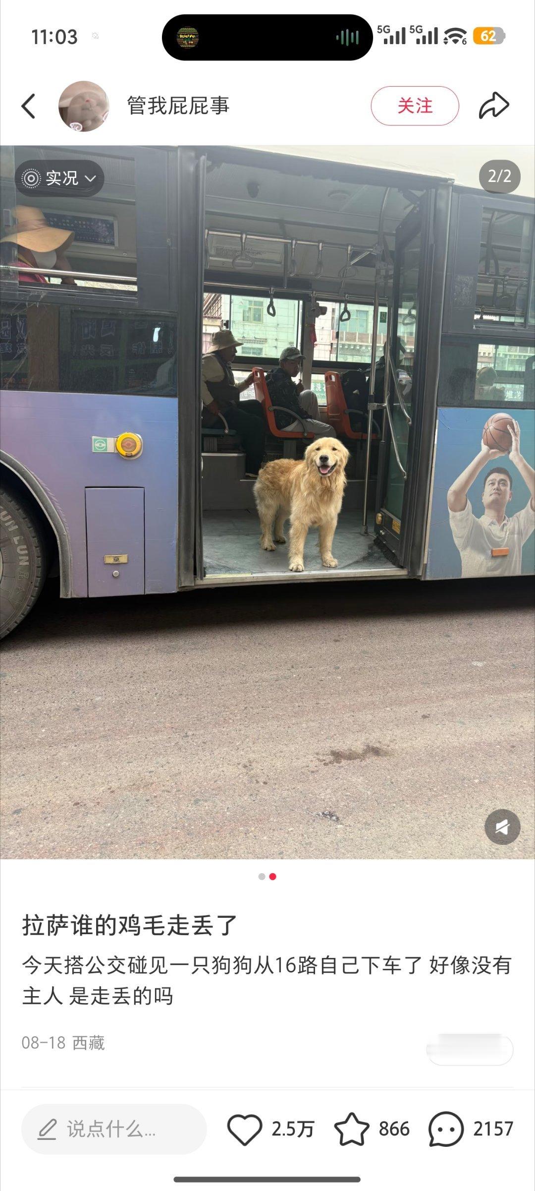 我上网就是为了看这些呀[抱抱]​​​