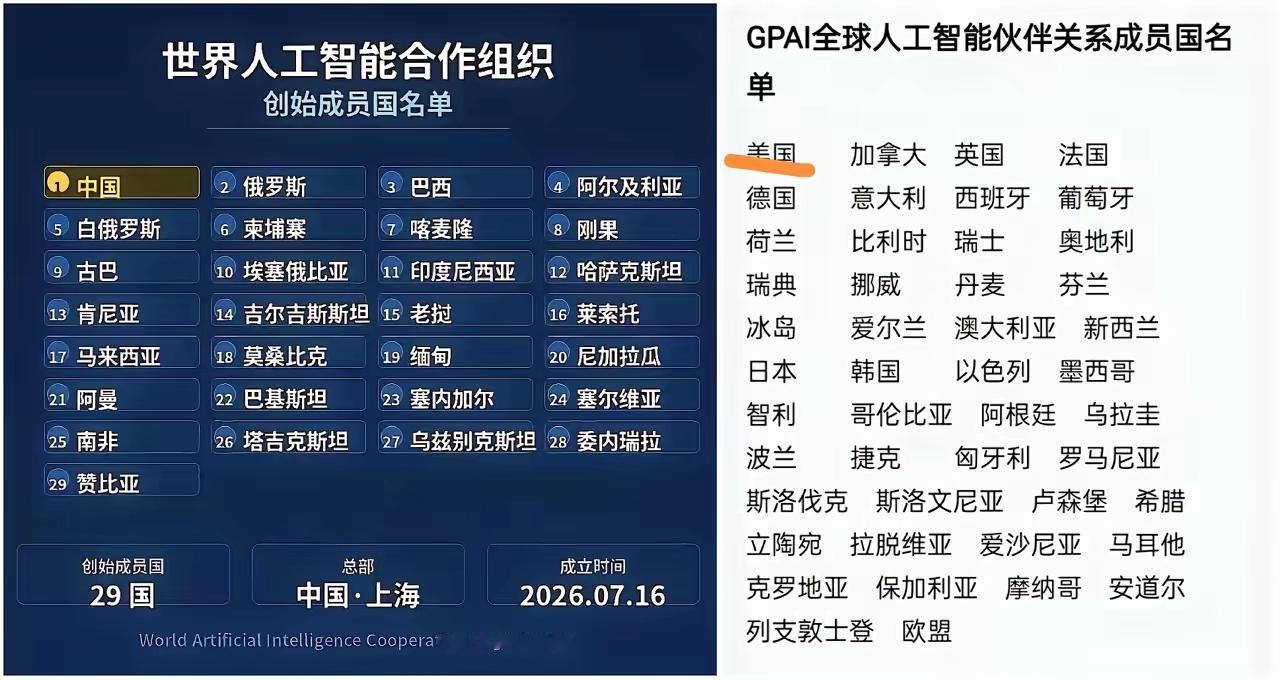 没什么可置喙的，中国本来就是发展中国家的领头羊，在上海召开人工智能大会，主导创办