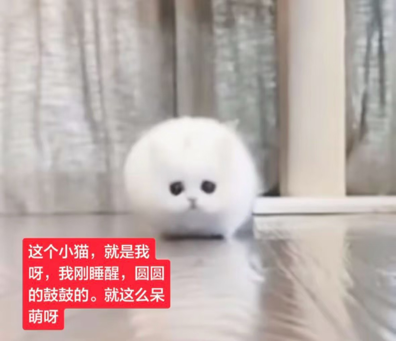 午餐又吃上豆腐了你们吃啥呢