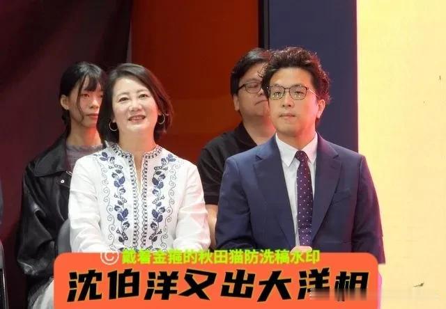 沈伯洋又出大洋相！竟把卢秀燕听成“无线电”，现场记者全笑翻，绿营几个人尴尬到爆