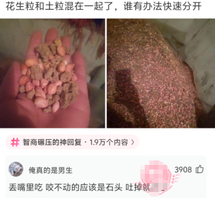 咬不动的应该是石头