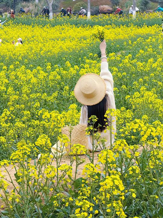 🌷武汉人私藏！这里的油画级油菜花美到报警