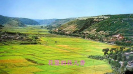 经典老歌100首 妇女自由歌 郭兰英.