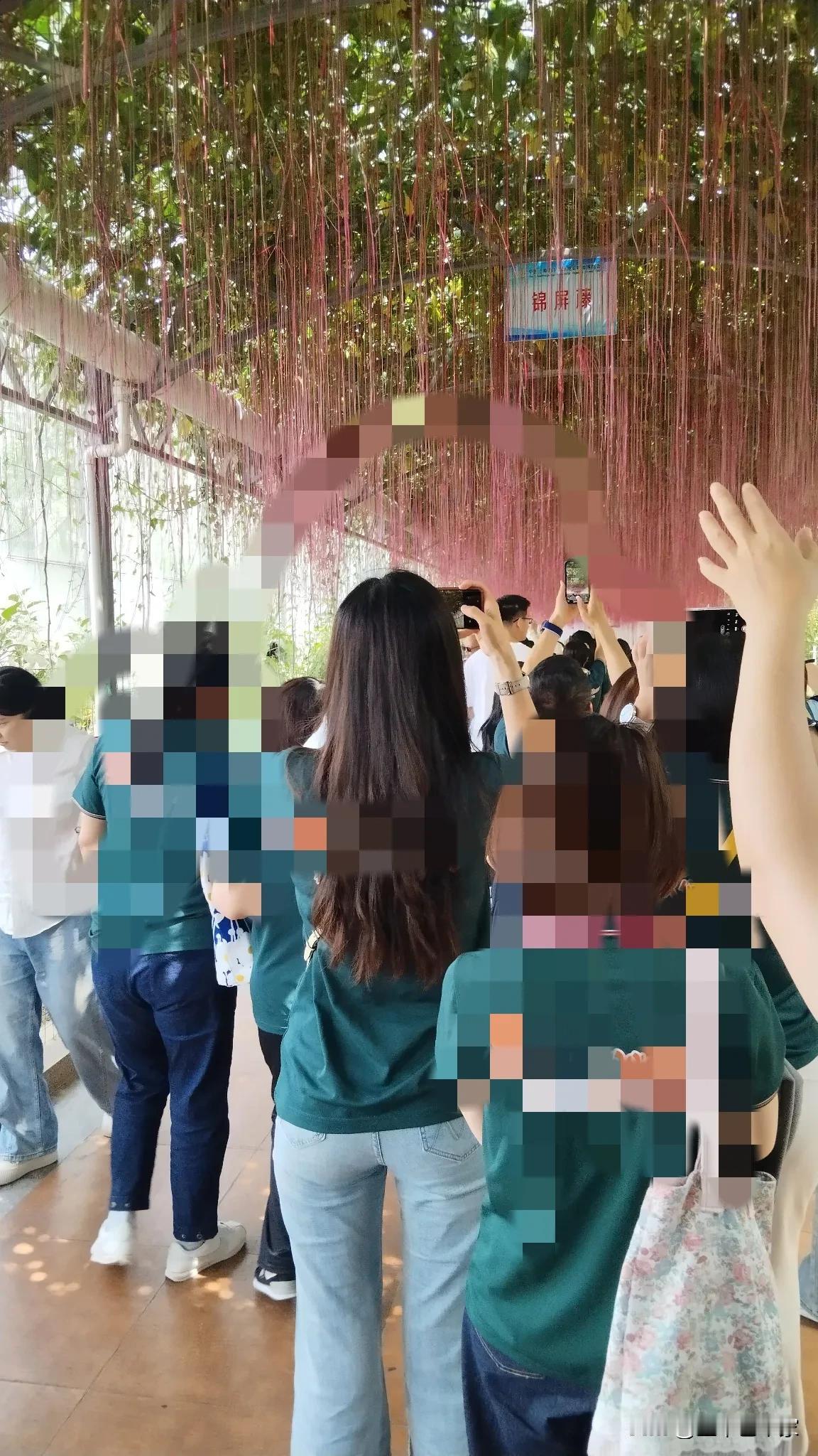 美女妙曼的背影，你们认为可以打几分？女孩子穿牛仔裤配宽松T体恤，真的是有很大杀