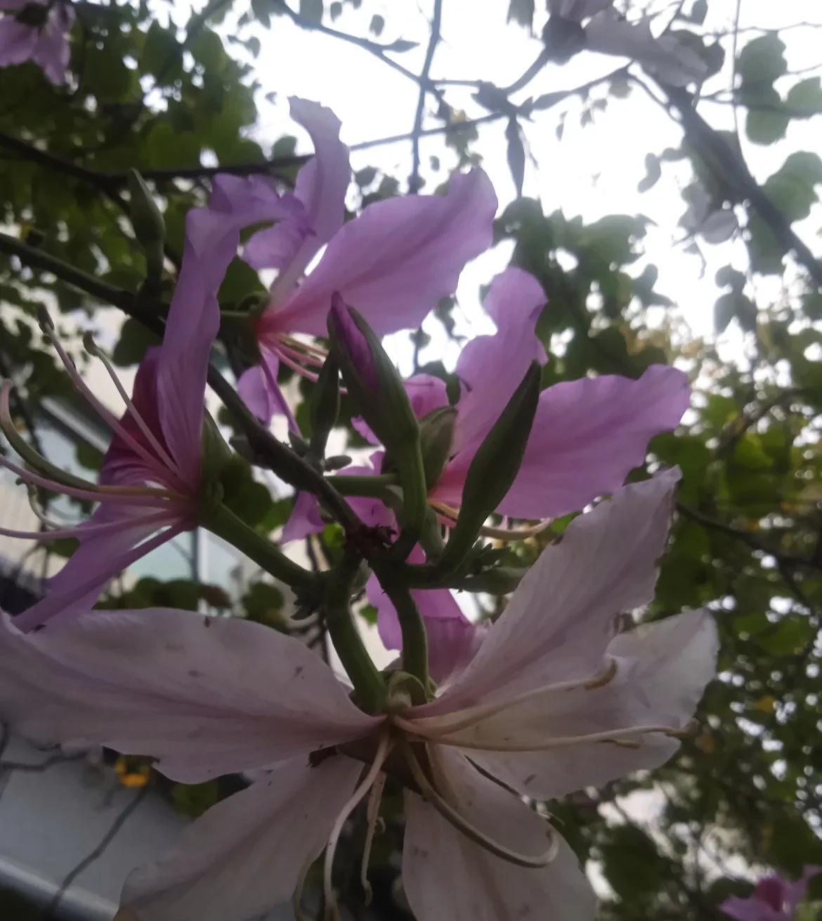 个人观点，生孩子，我还是愿意生男孩，以前一度认为男孩女孩都是一样的，后来思想成熟