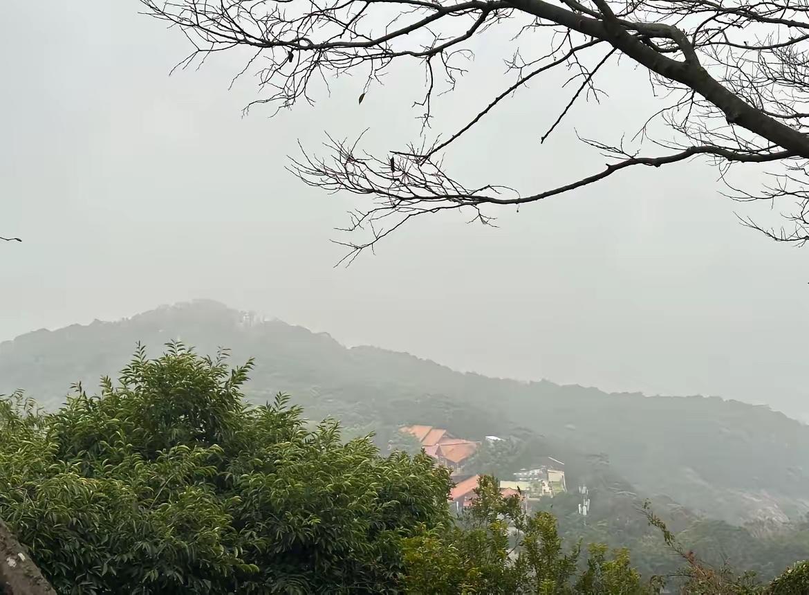 山间雾气弥漫，静谧而神秘。