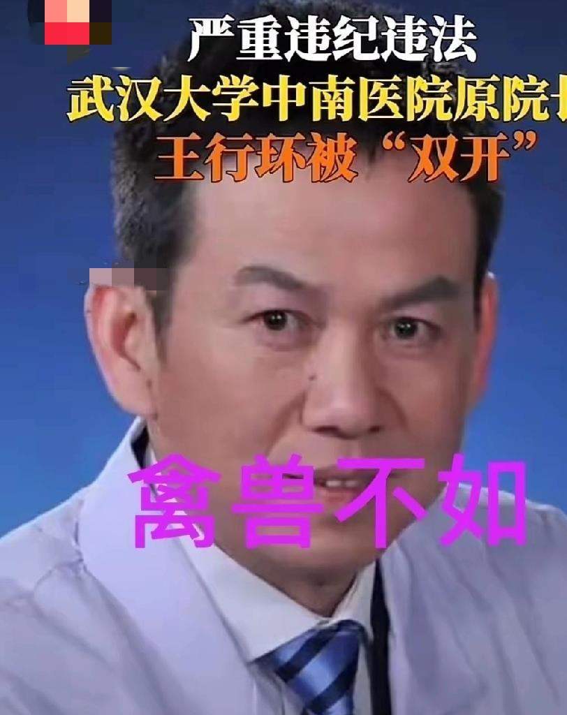 禽兽不如王行环——“抗疫英雄”到“腐败分子”的巨大落差，实在让人难以接受用“