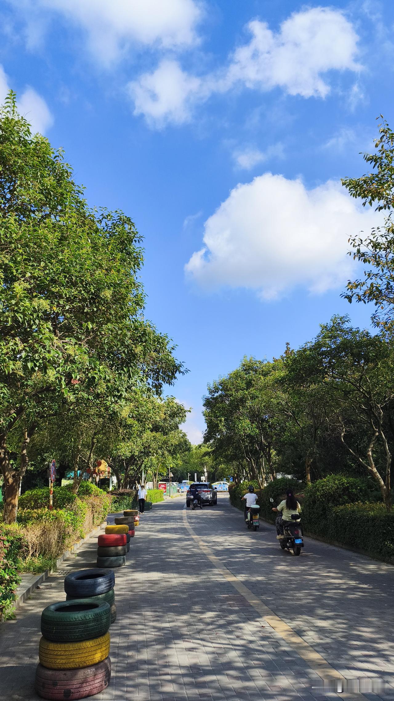 白露都到了，刷着古诗里“白露为霜”的秋景脑补得正入戏，转头被南京的温差整懵了。