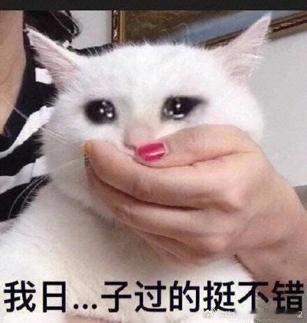 最近看到黑人陈建州住院治疗的事，我一直觉得我早晚也会因为心脑血管疾病嗝屁，就算有幸活到一定年纪也还是