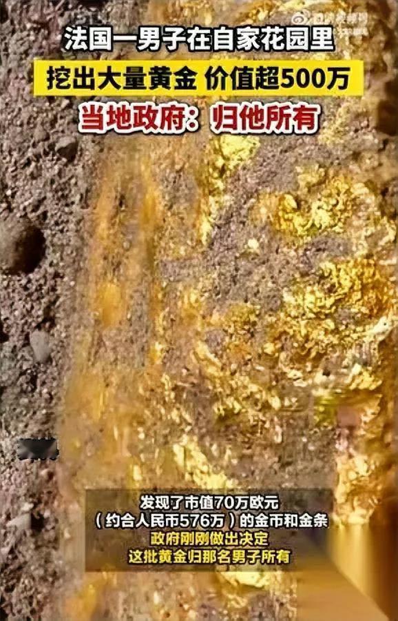 挖泳池挖出宝藏？这事真发生了！法国一男子在自家花园挖泳池时，竟挖出了市值70