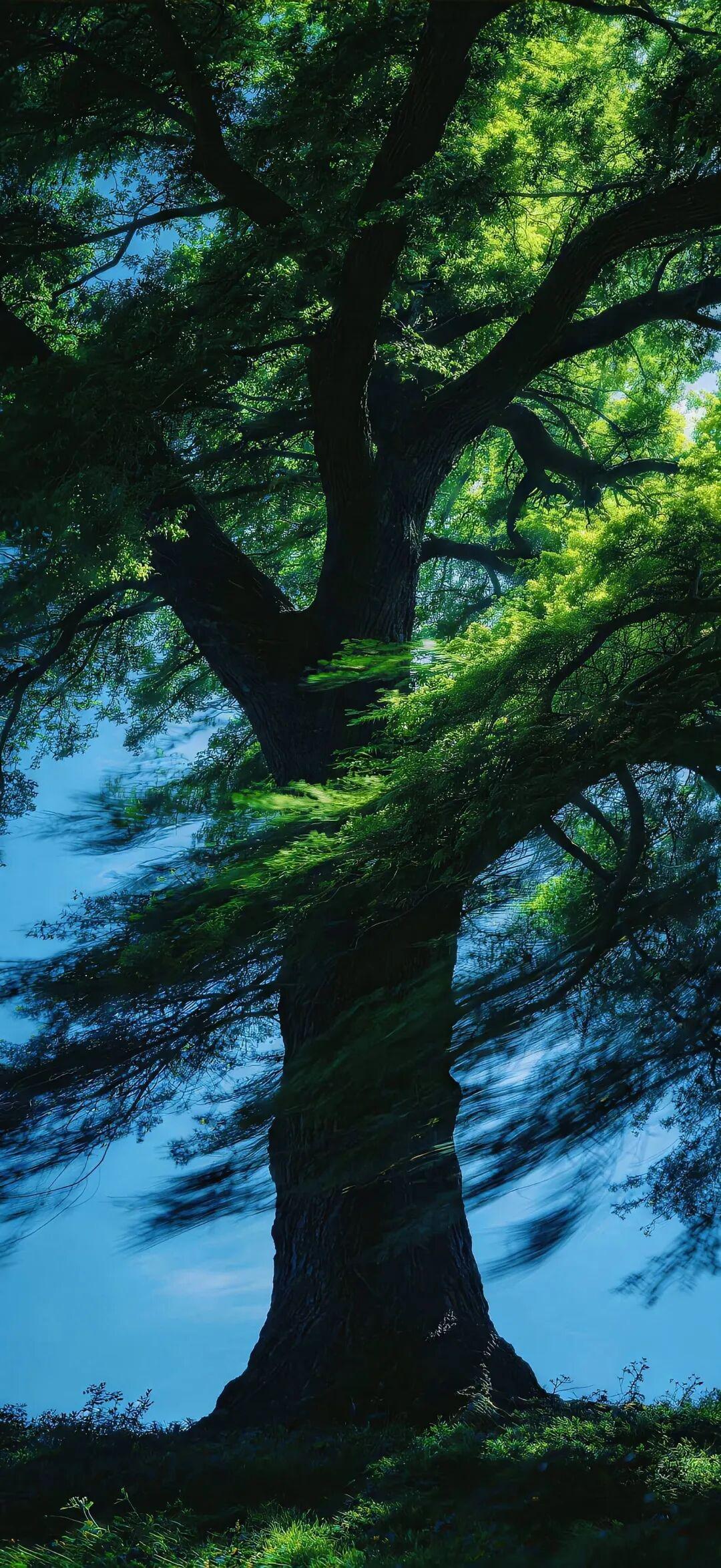 一组适配iOS27小时间锁屏壁纸