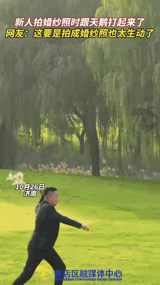 “这下真解释不清了!”济南一对新人结婚,准备在一公园里拍婚纱照,结果跑来一只黑天