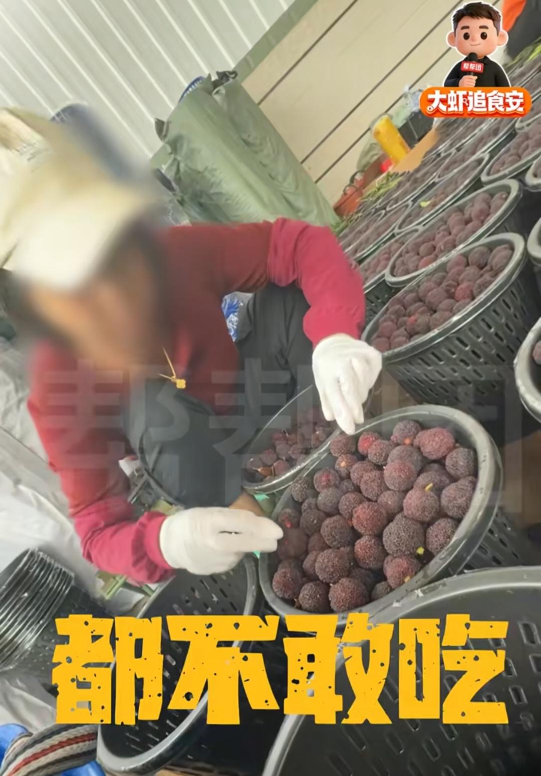 福建漳州，杨梅泡药水全被扒光了：1、商贩用的药水是私自调配的，专门用来给杨