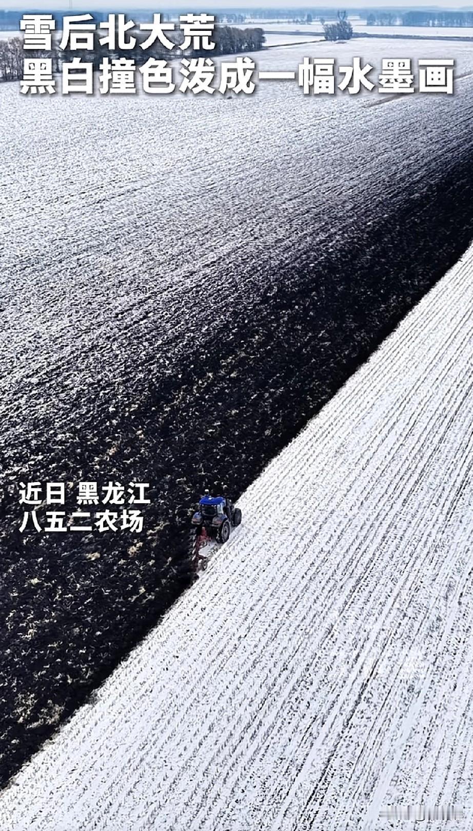 看到北大荒这几个字就想到小学学的一篇课文，写到：“棒打狍子，瓢舀鱼，野鸡飞到饭锅