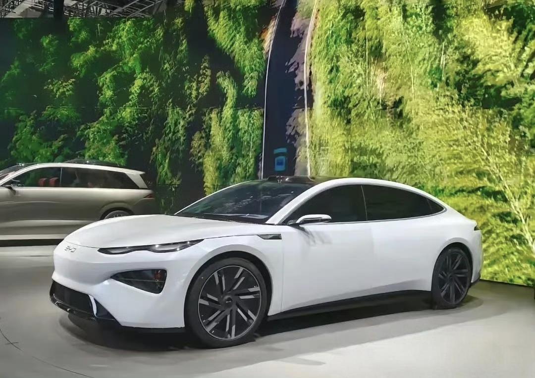 比亚迪海洋双旗舰定名海豹08海狮08海洋王的旗舰，海狮08和海豹08，要来了。