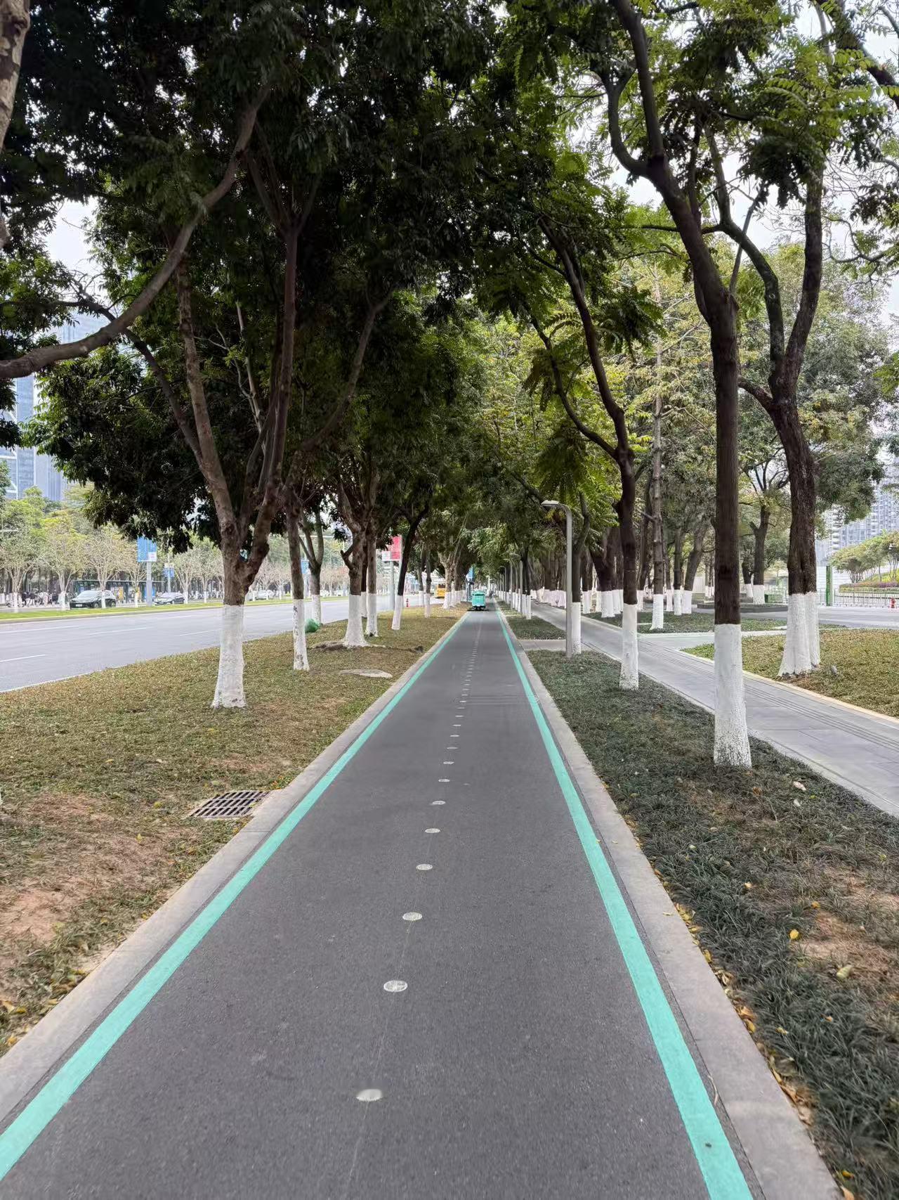 今年冬天的不同今日深圳。千里赴鹏城，只为一考试。得闲出门游，佳绩伴我还。