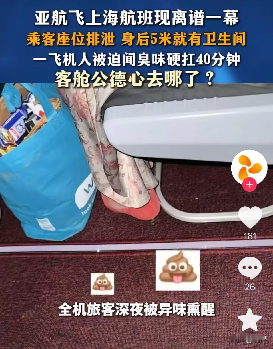 身后就是厕所，她为什么要拉座位上？真是把国人的脸丢尽了，害得一飞机乘客从“静观