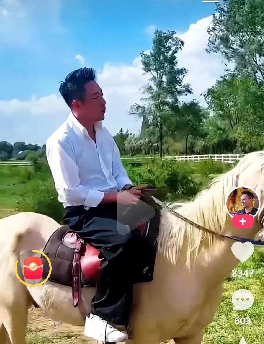 汪小菲至少在10年婚姻里不纹身，不吸吸，不躺平，不被污染……而且有事业心这些都是