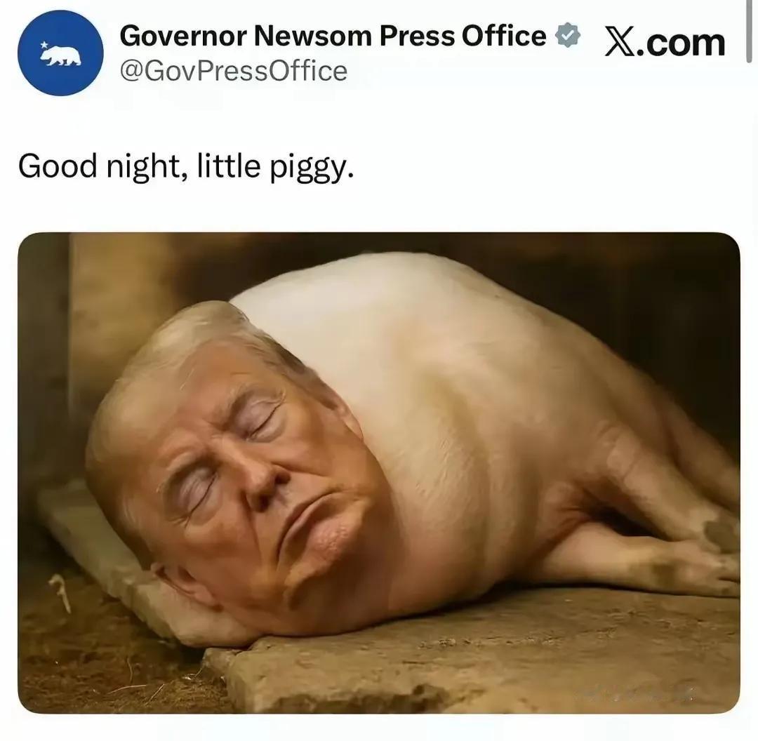 “晚安，小猪。”加州州长纽森在社交媒体上发文并配上图，狠狠地开涮了特朗普一把。
