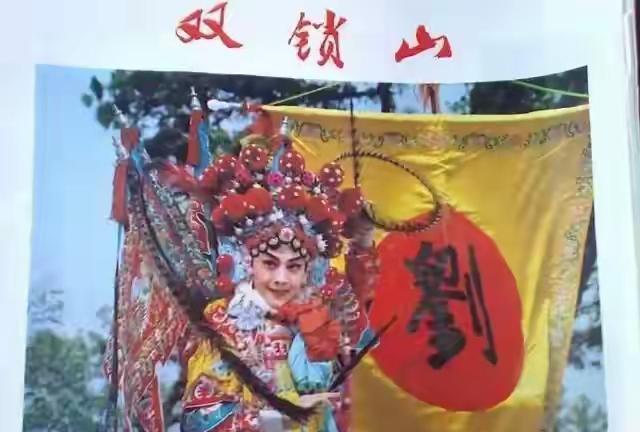 高君宝偷离双锁山，女寨主放心不下，也追到寿州外。女寨主救夫心切闯入南唐东门，把守
