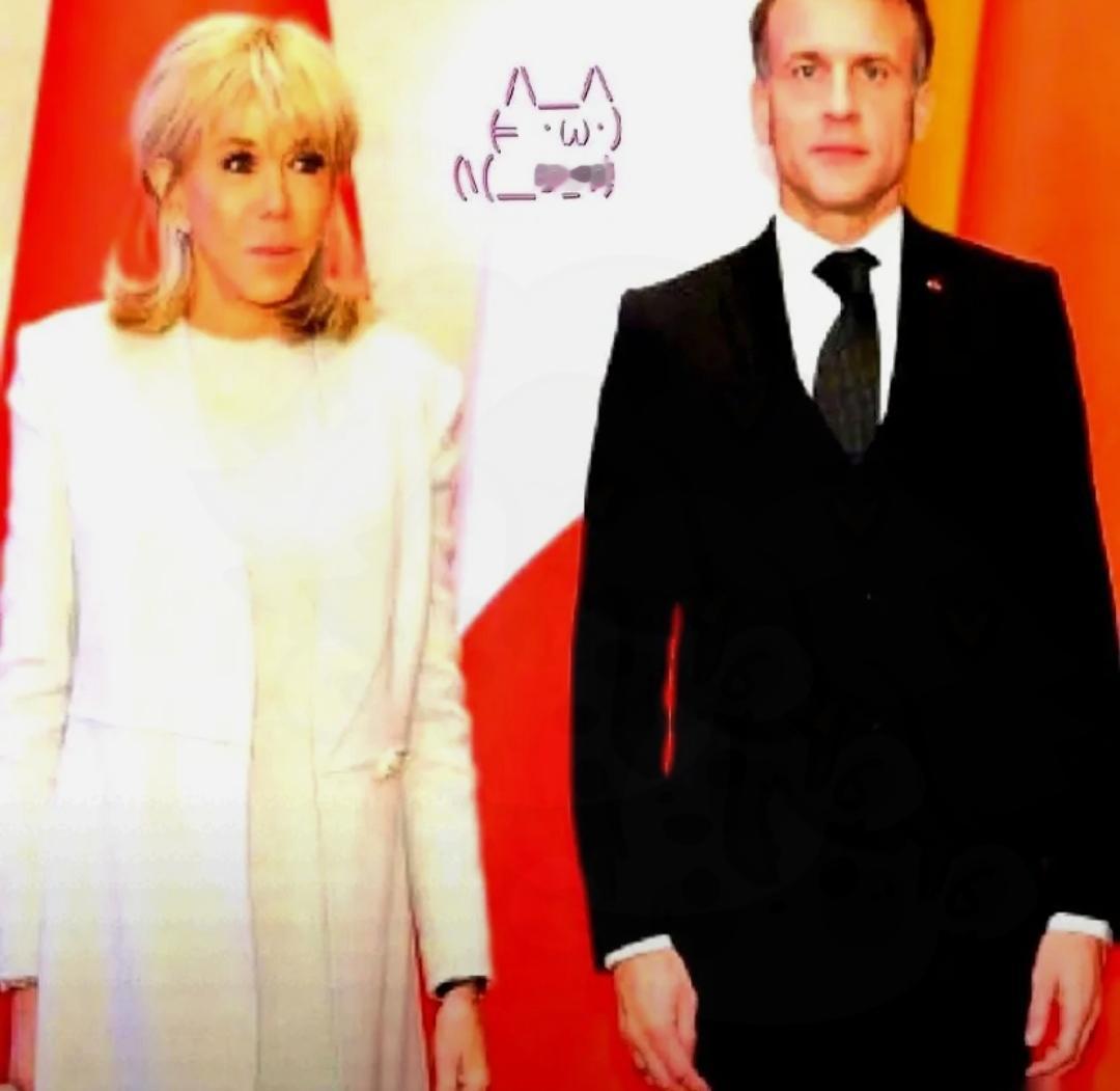 马克龙这次估计有点郁闷，明明是来谈几百亿的大买卖，风头全让老婆抢了。但这72