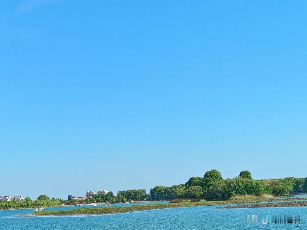 一位三甲医院医生说：“如果查出癌症，最好的状态应该是，回家洗洗睡。什么都不要多想