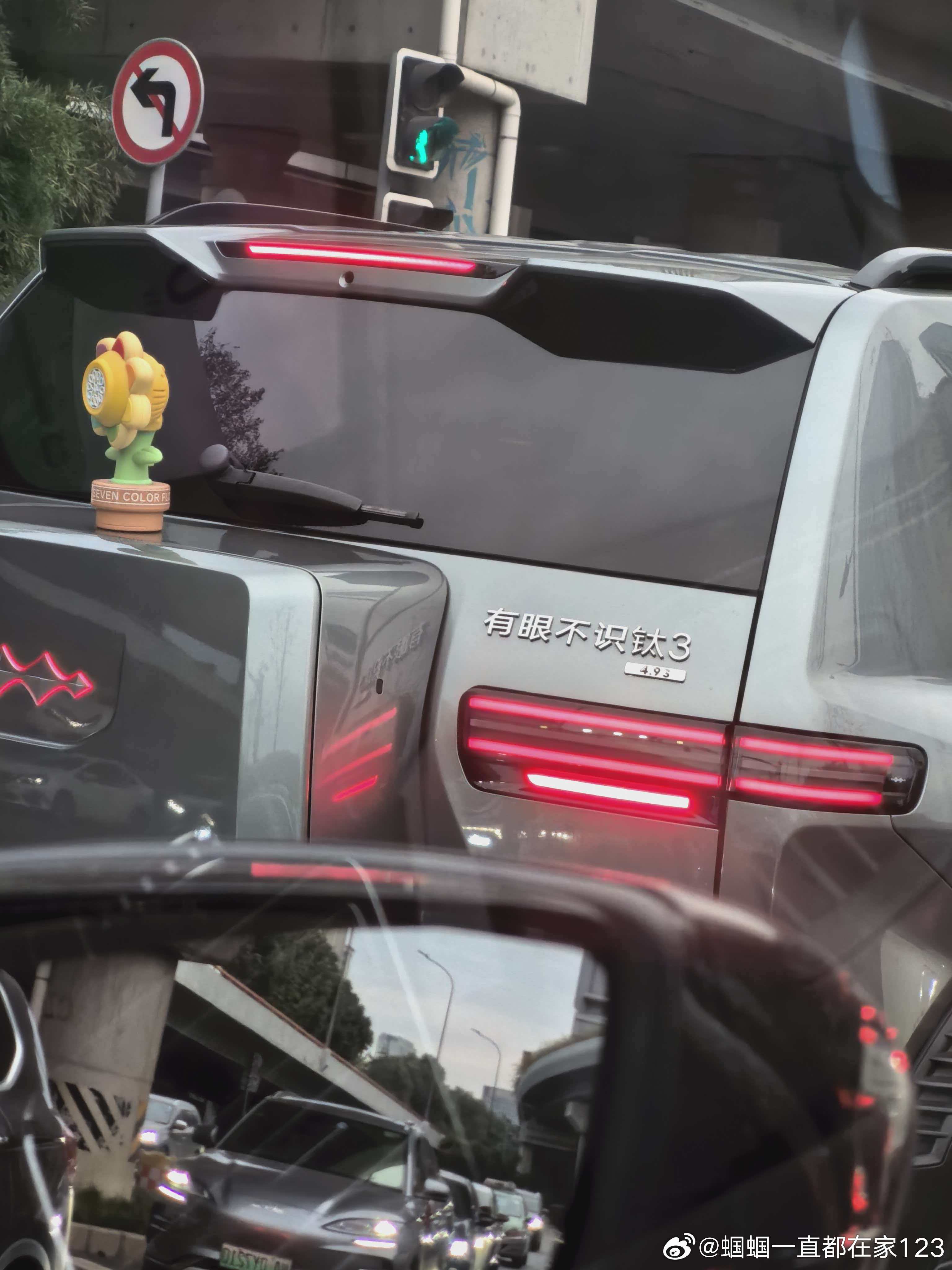 网友们针对车名的创意是真多。中文博大精深。