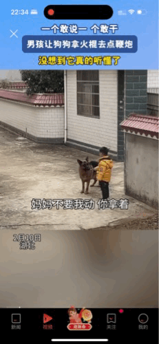 笑喷！狗狗也会放鞭炮？小孩子想要放鞭炮，可家长不允许，自己也有点害怕，于是孩子想