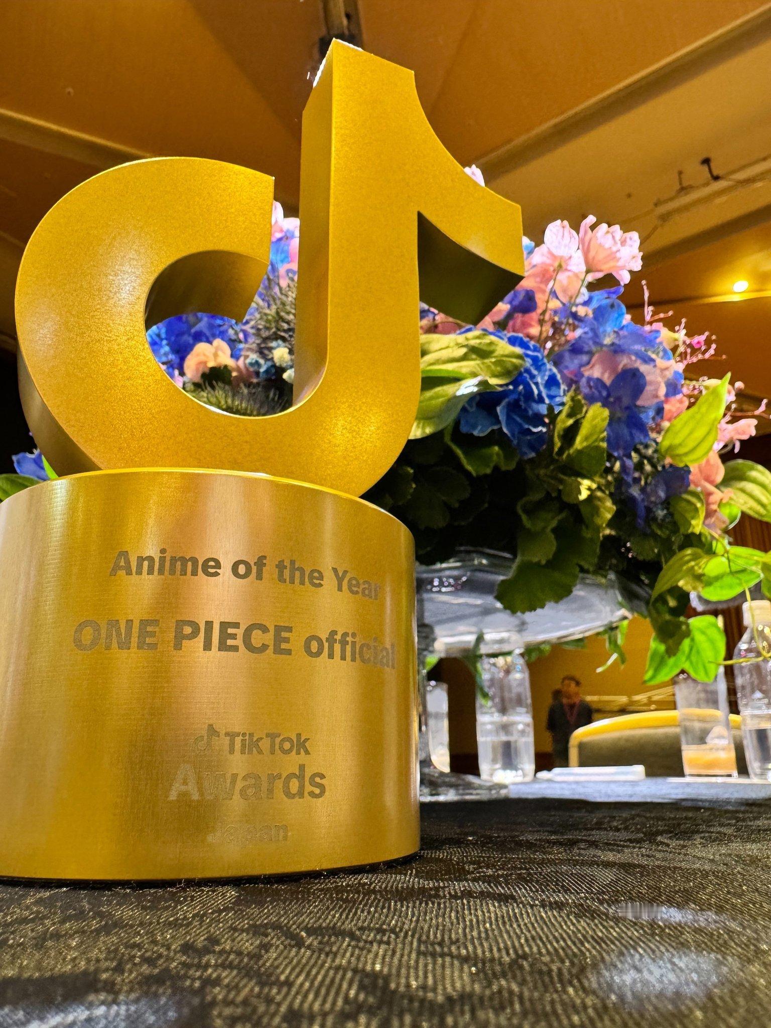 海贼王海贼王恭喜《海贼王》荣获日本TikTok年度最佳动画奖