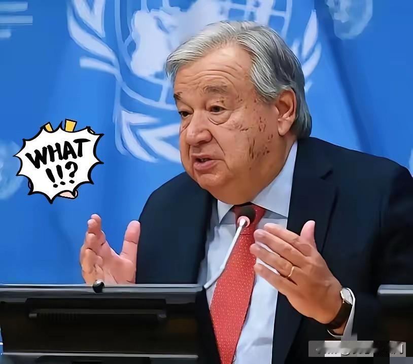 联合国消息2026年2月20日，联合国秘书长发言人斯特凡·杜加里克宣布了一个大