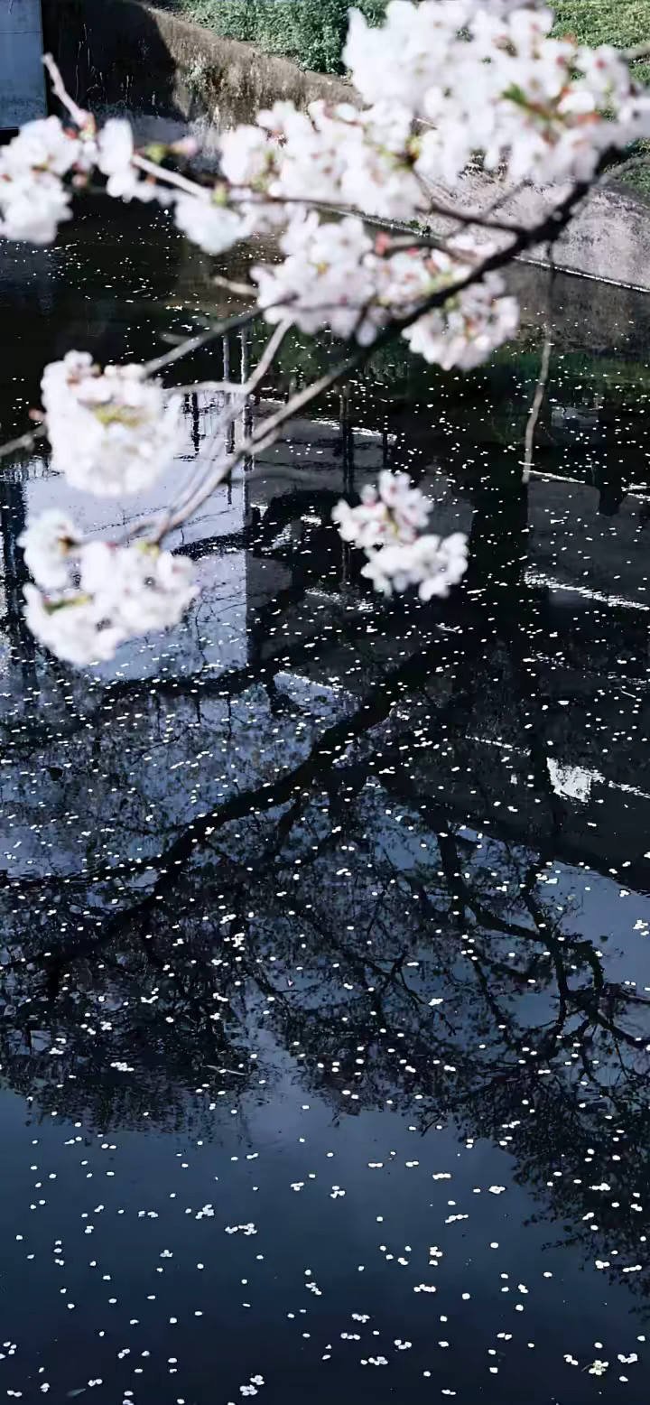 推荐你会喜欢的治愈系壁纸