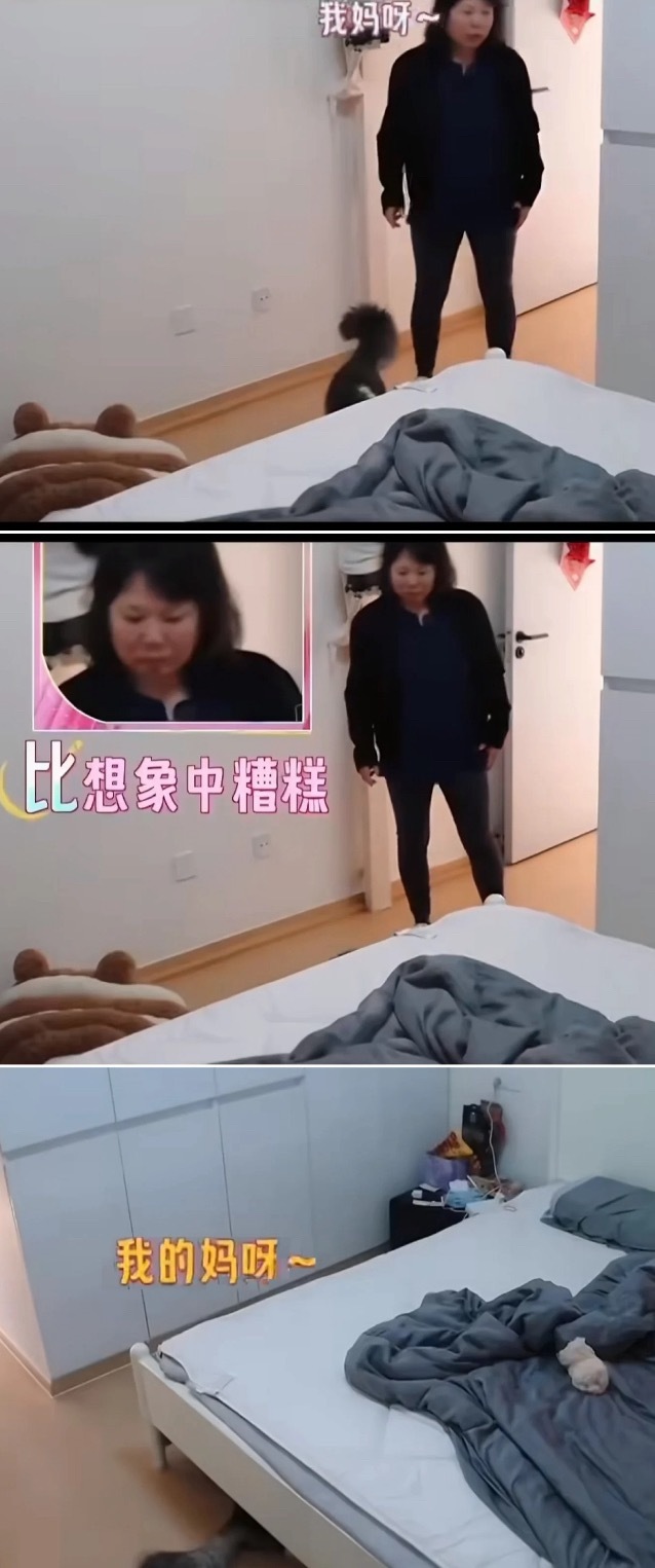 张家齐卧室到底哪里乱了？！！没有其他乱七八糟的东西啊？还我的妈呀我的妈呀半天，到