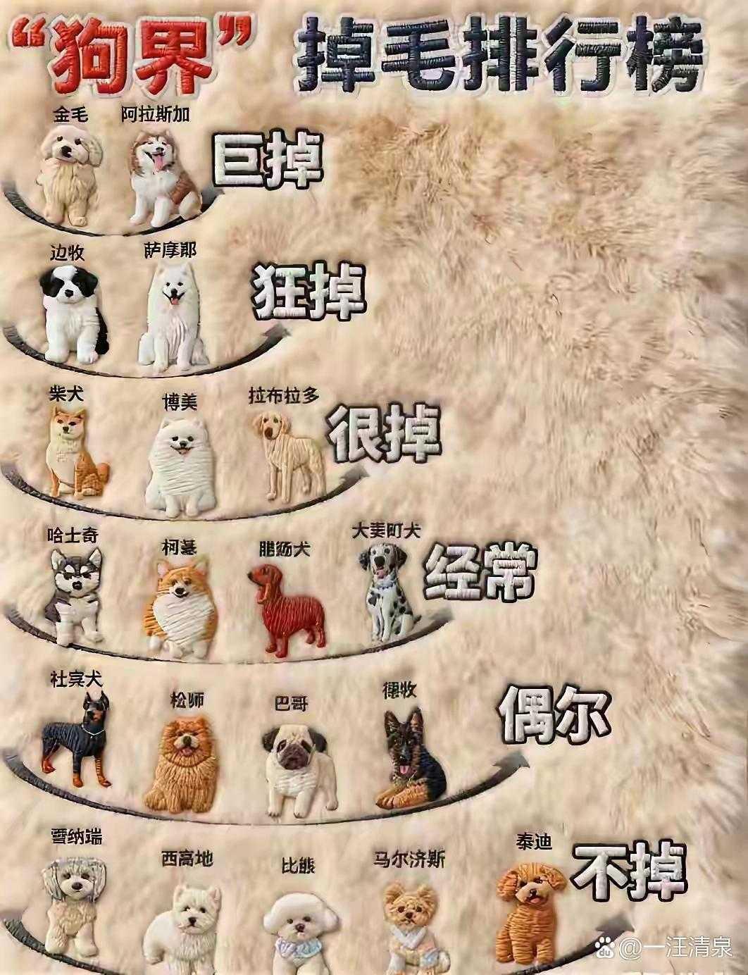 长见识了