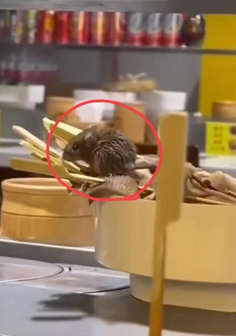 我闺蜜自从去饭馆打工，就像变了个人一样！我简直不敢相信！以前动不动就喊我去饭馆